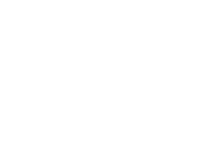 Logo Beckenbodentrainer Emy von dem Unternehmen Fizimed