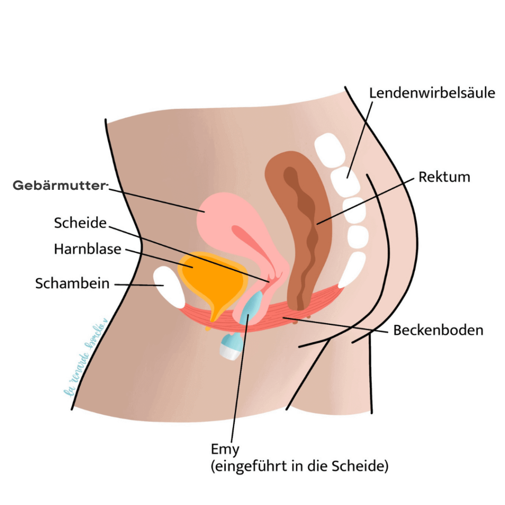 Schema Beckenboden mit Beckenbodentrainer Emy