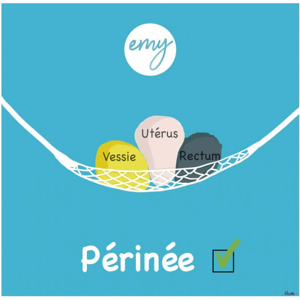 Périnée vessie utérus rectum une solution Emy