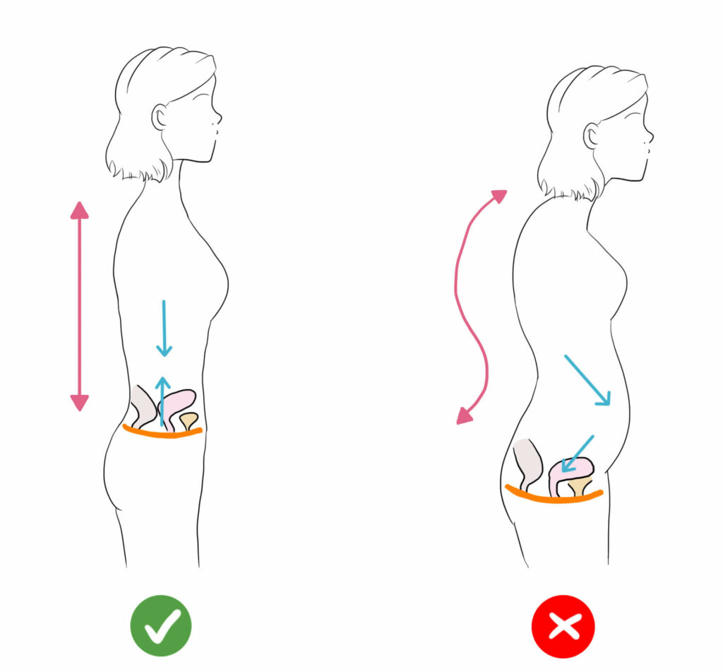posture pour éviter la descente d'organes