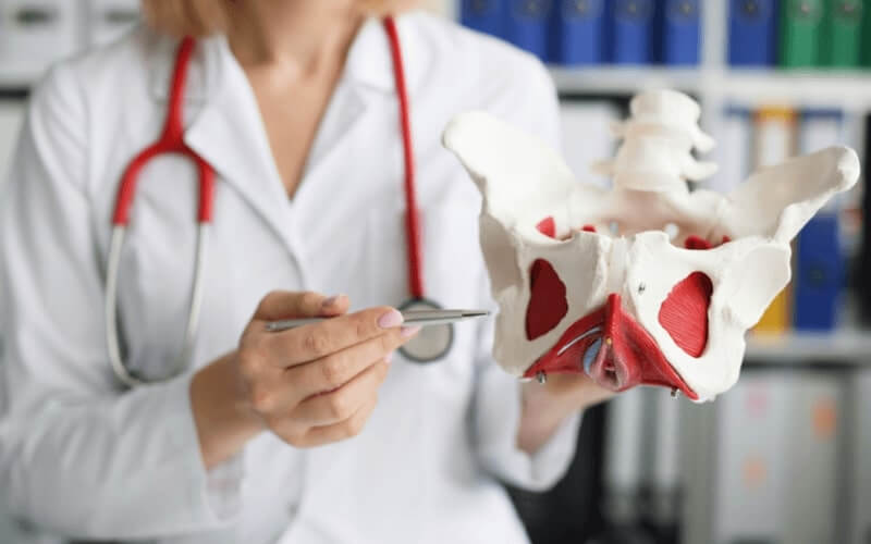 professionnel de santé qui aide à localiser le périnée