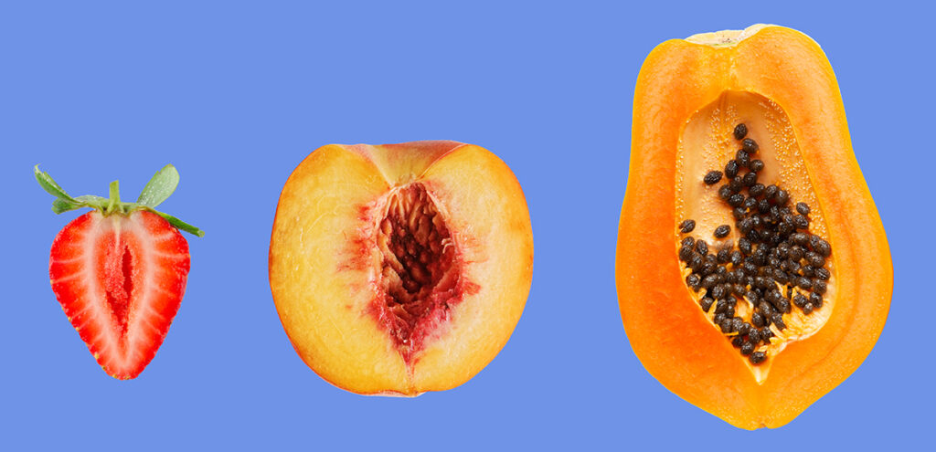 Sweet papaya fruit on a white background.